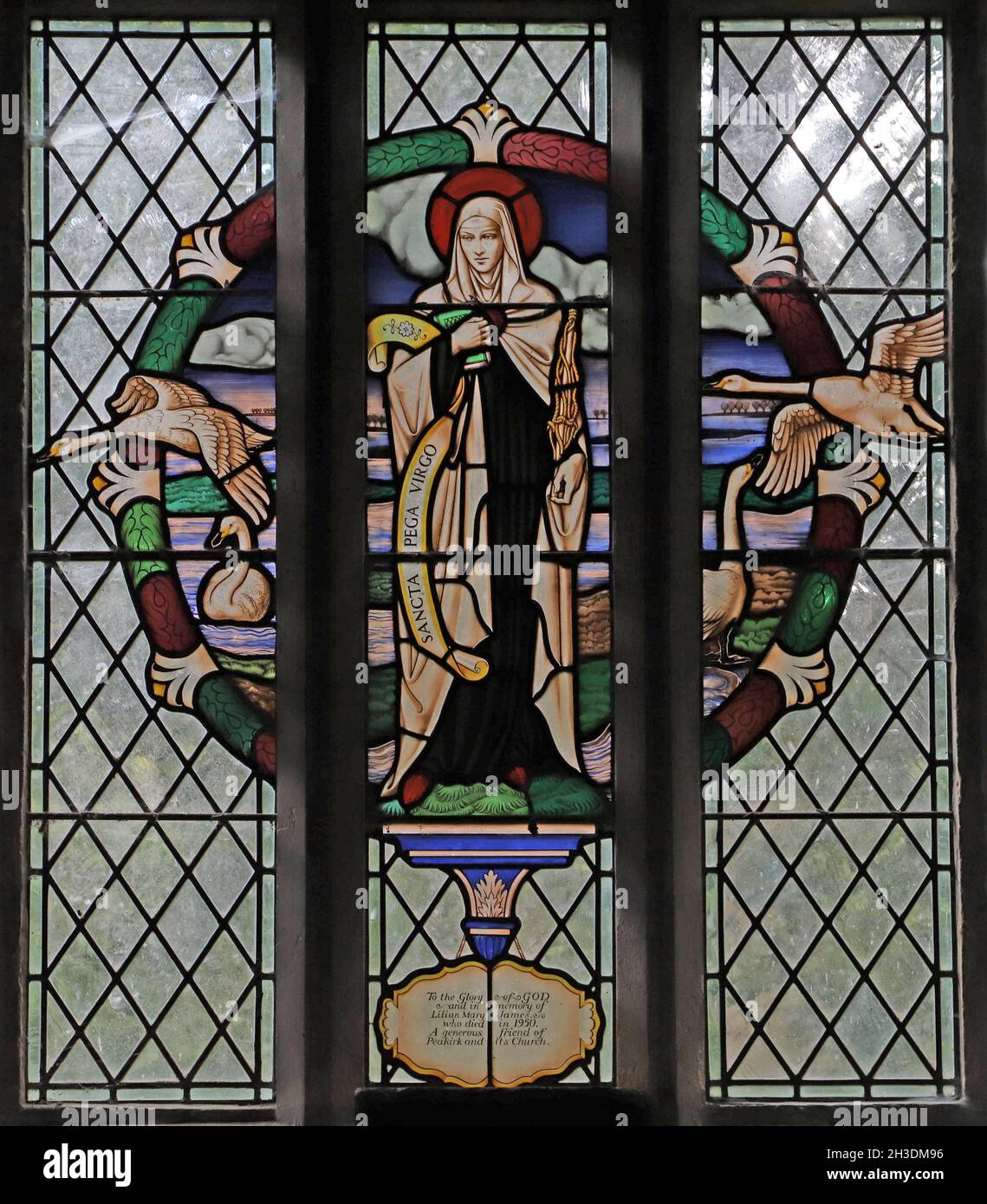 Ein Buntglasfenster von Francis Skeat 1952 mit St. Pega, St. Pega's Church, Peakirk, Northamptonshire Stockfoto