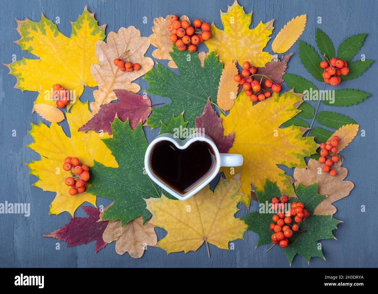 Eine Tasse schwarzen Kaffee und Herbstblätter auf blauem Holzhintergrund. Herzförmige Tasse schwarzen heißen Kaffees. Das Konzept der Liebe zum Kaffee. Herbstdekor, Autu Stockfoto