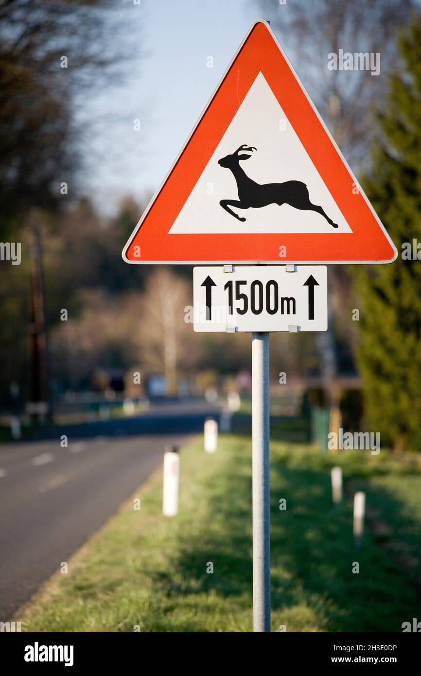 Verkehrsschild Tierquerung, Deutschland Stockfoto