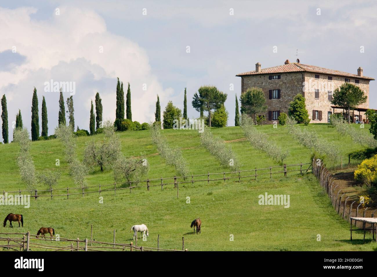 Landhaus auf einem Hügel im Frühling, Italien, Toskana, Pienza Stockfoto