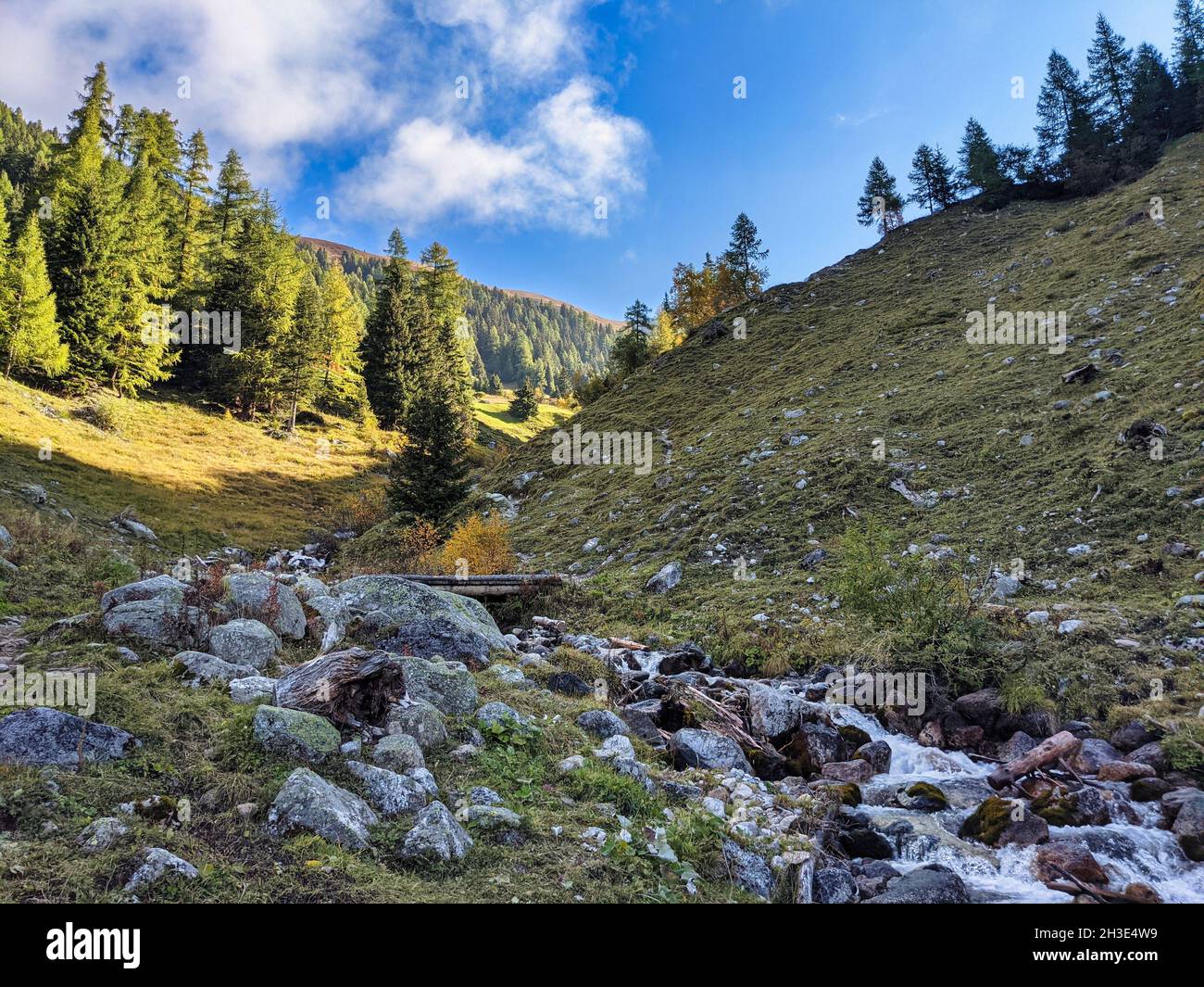 Schöne Herbststimmung. Lerchenwald mit einem frischen Bergbach oberhalb von Monstein. Naturlandschaft in der schweiz Stockfoto