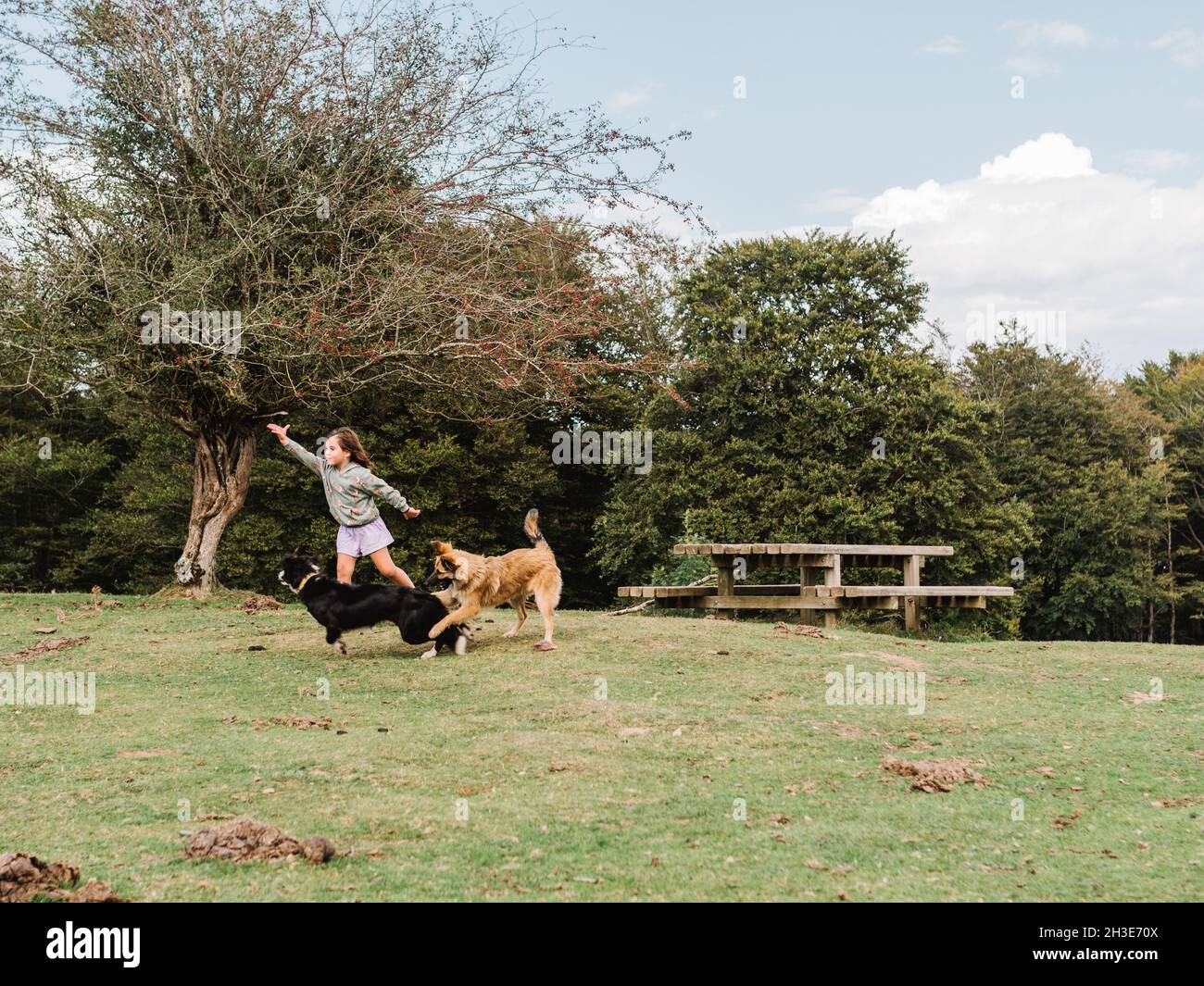 Sorgloses Mädchen läuft mit verspielten haarigen Hunden auf Rasen mit hohem grünen Baum und Holztisch in ländlicher Umgebung Stockfoto