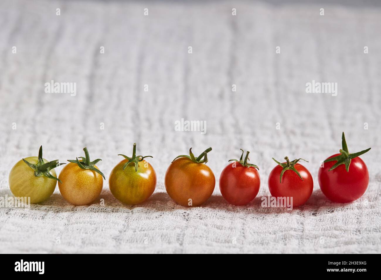 Draufsicht Zusammensetzung von verschiedenen Instrumenten und Materialien für Sanitär Werke auf beleuchtetem rotem Hintergrund angeordnet Stockfoto