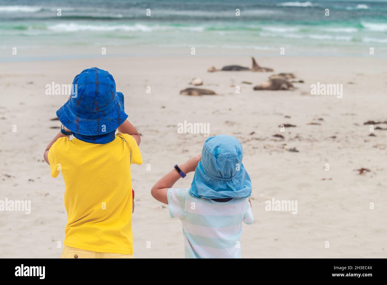 Kinder beobachten Seelöwen, die sich am Strand von Seal Bay, Kangaroo Island, Südaustralien, ausruhen Stockfoto