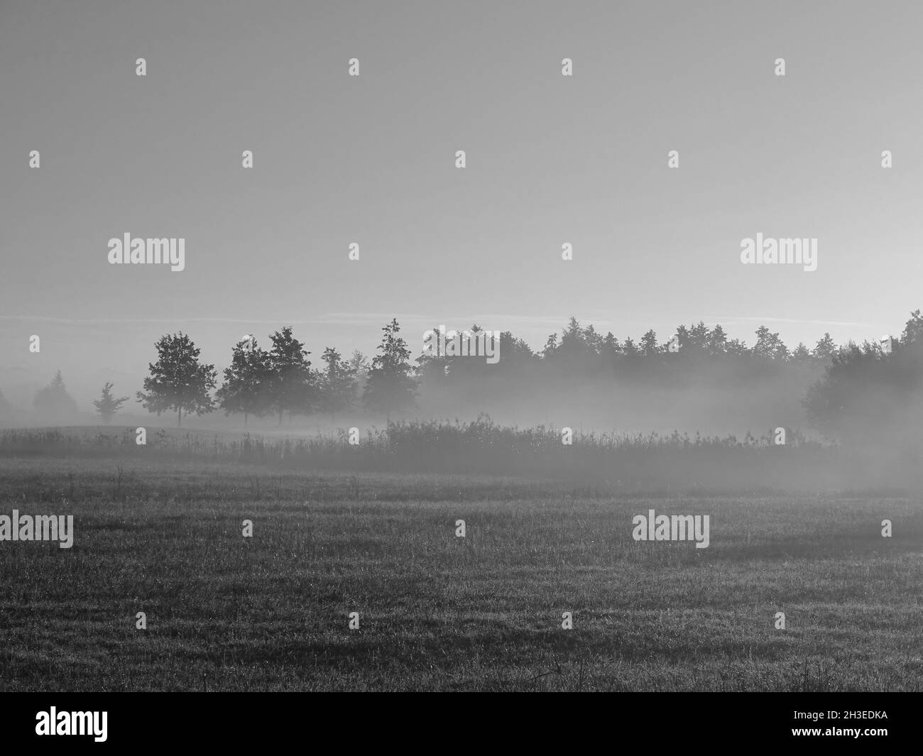 Schwarz-Weiß-Foto eines nebligen Morgens, einer Landschaft mit Bäumen im Hintergrund und Nebelflecken, die über dem Land im Sonnenschein hängen. Stockfoto