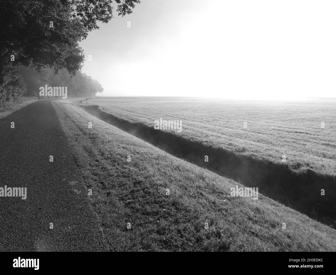 Schwarz-weißes Foto einer Straße entlang des Waldes, rechts die Nebelflecken über der Wiese im Sonnenschein Stockfoto