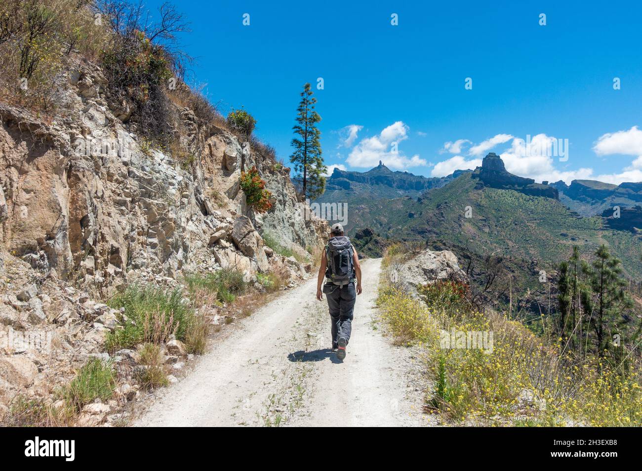 Reife Frau Wandern, Wandern in den Bergen auf Gran Canaria, Kanarische Inseln, Spanien Stockfoto