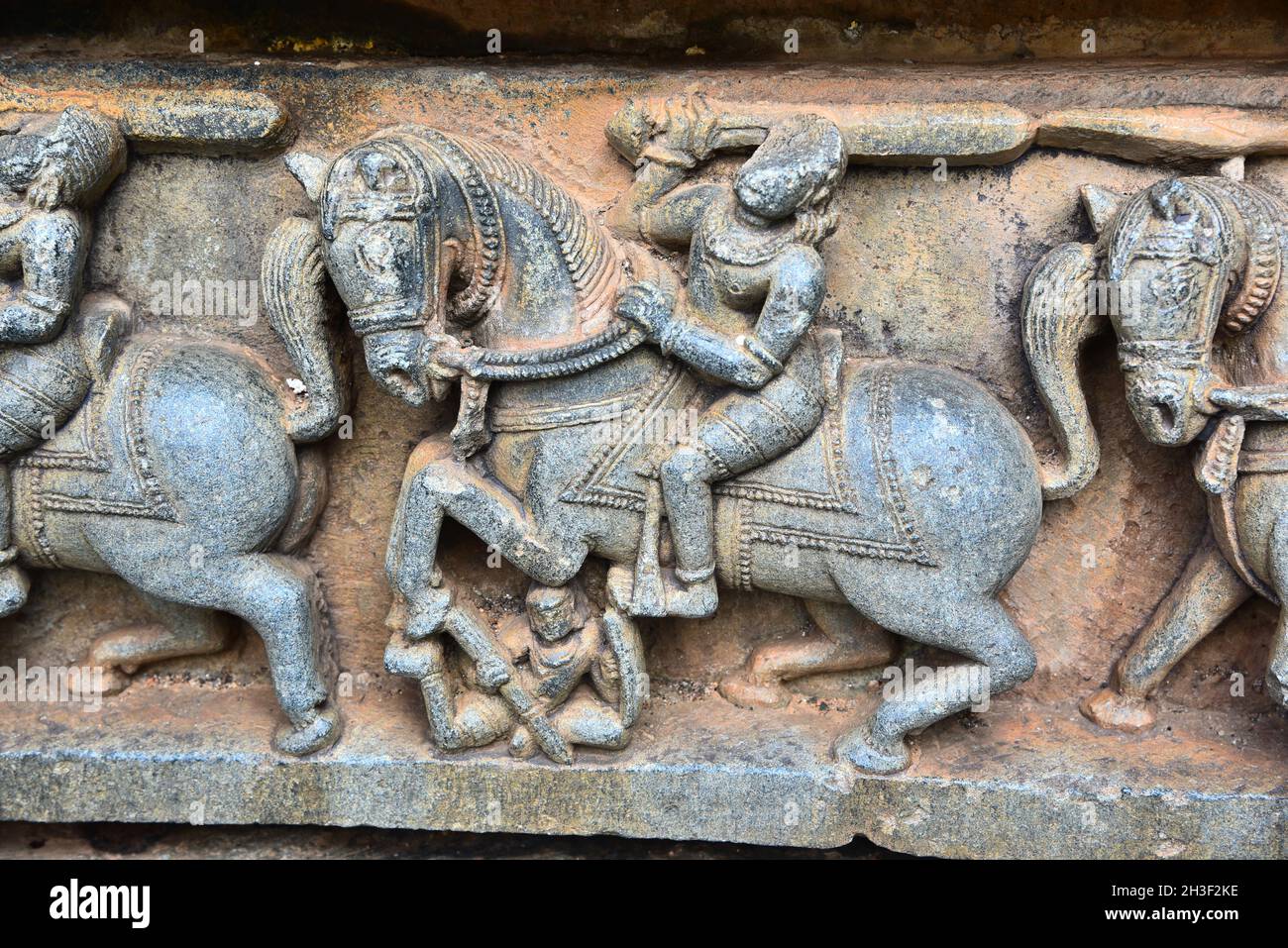 Komplizierte Steinschnitzerei des Pferdes im Krieg am chennakeshava Tempel, somnathpur, mysore, indien Stockfoto
