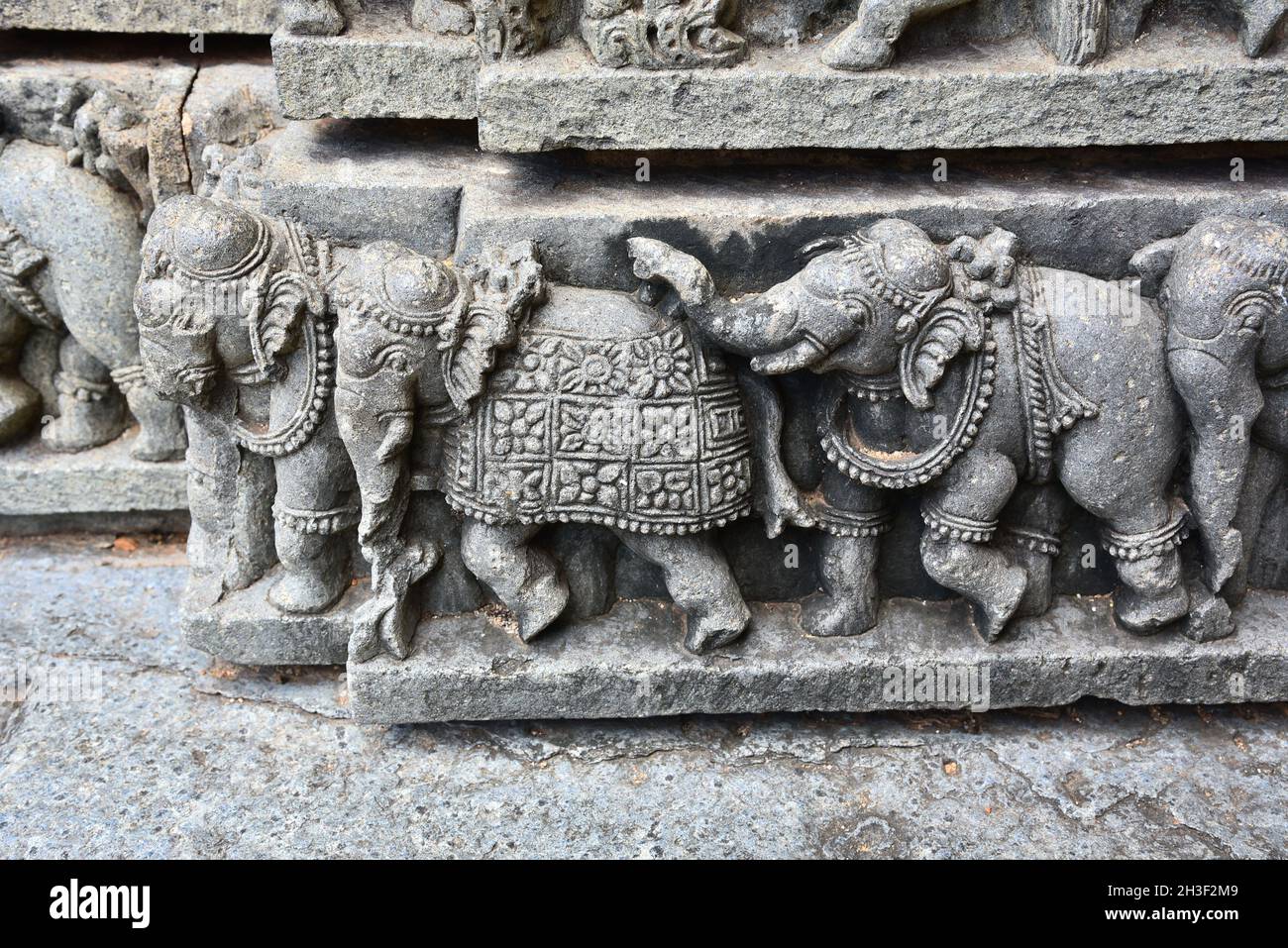 Komplizierte Steinschnitzereien des Elefanten am chennakeshava Tempel, somnathpur, mysore, indien Stockfoto