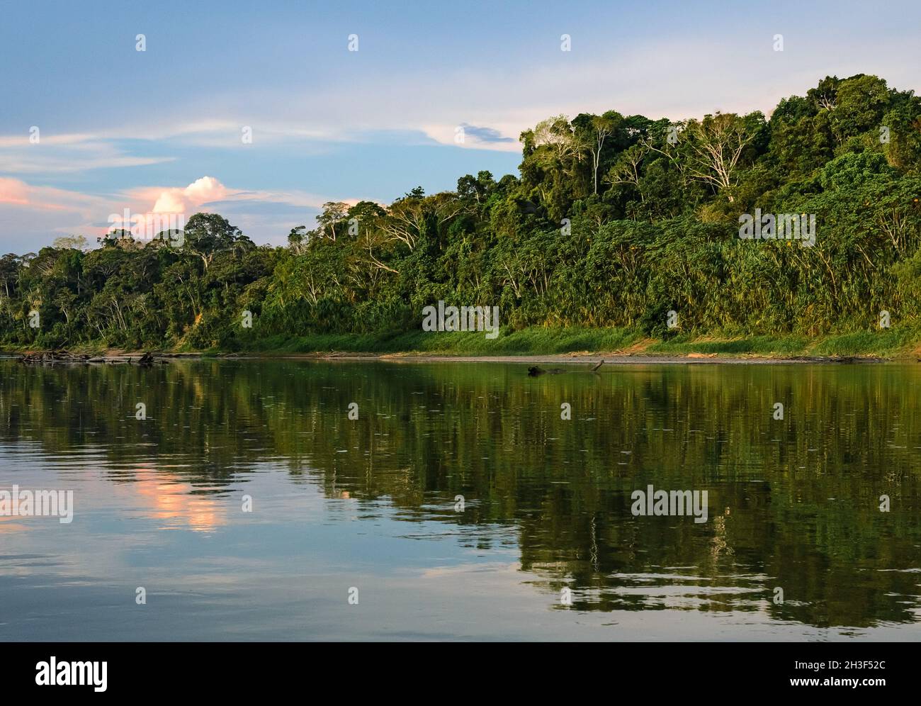 Unberührter Regenwald am Rio Madre de Dios im peruanischen Amazonas. Madre de Dios, Peru. Stockfoto