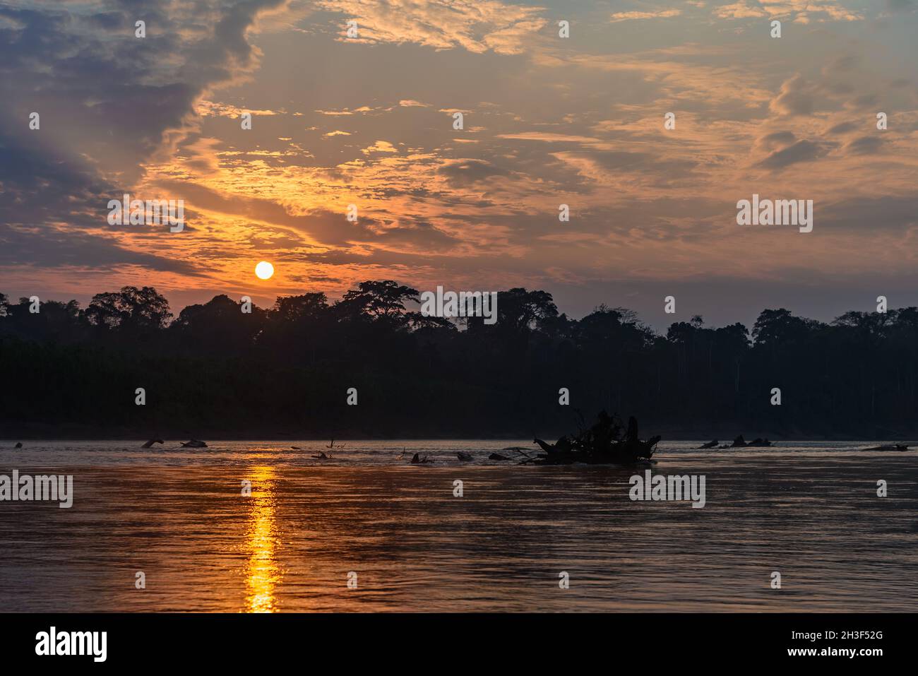 Farbenfroher Sonnenuntergang am Rio Madre de Dios im peruanischen Amazonas. Madre de Dios, Peru. Stockfoto
