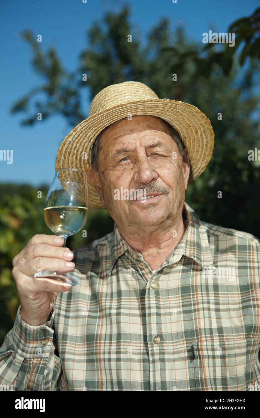 Älterer Winzer, der Wein testet Stockfoto