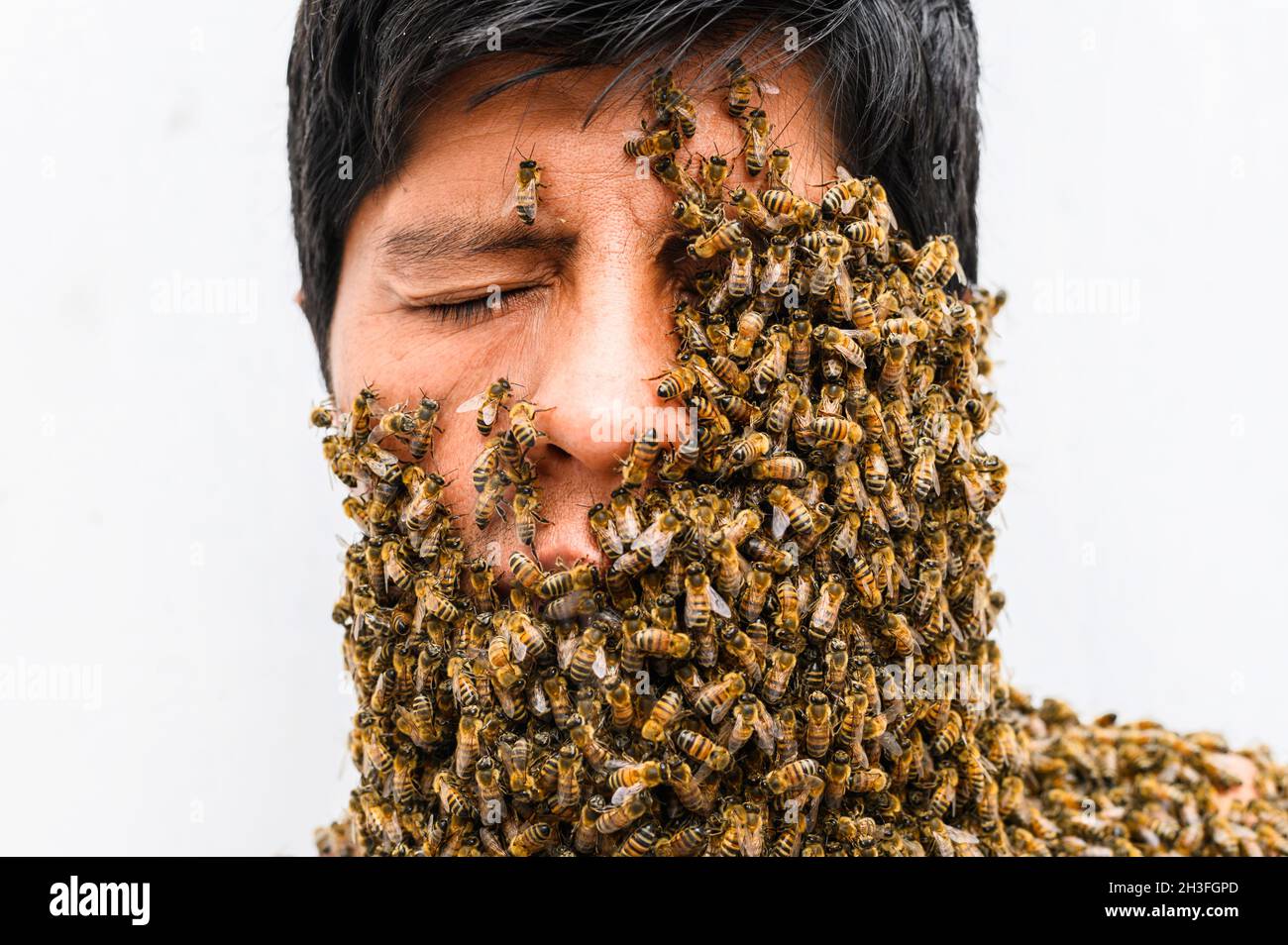 Das Gesicht des Menschen ist von Bienen bedeckt Stockfoto