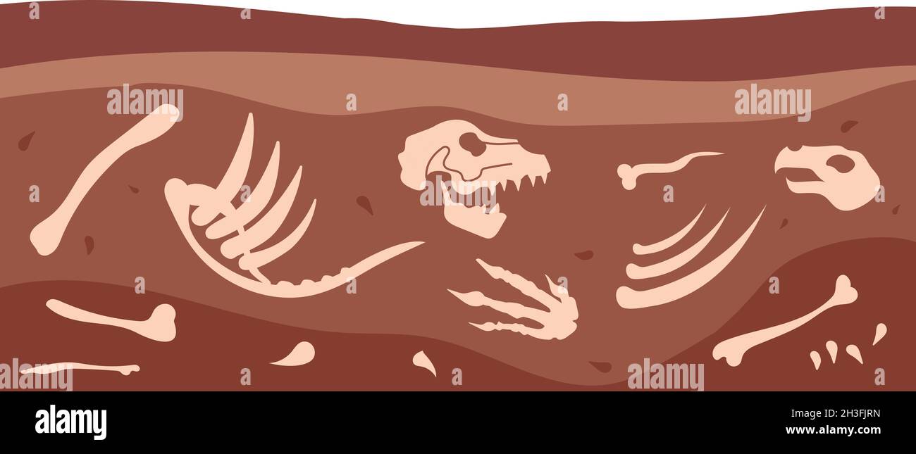 Archäologische Knochen. Tierfossile, schmutzige Bodenschichten mit uraltem Dinosaurierschädel. Skelett unterirdisch, Paläontologie Utter Vektor Illustration Stock Vektor