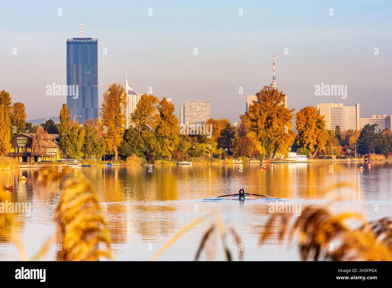 Wien, Wien: oxbowsee Alte Donau, DC Tower 1, Vienna International Center VIC (UN Building), Donaucity, Ruderboot, Ruderer, Herbst CO Stockfoto