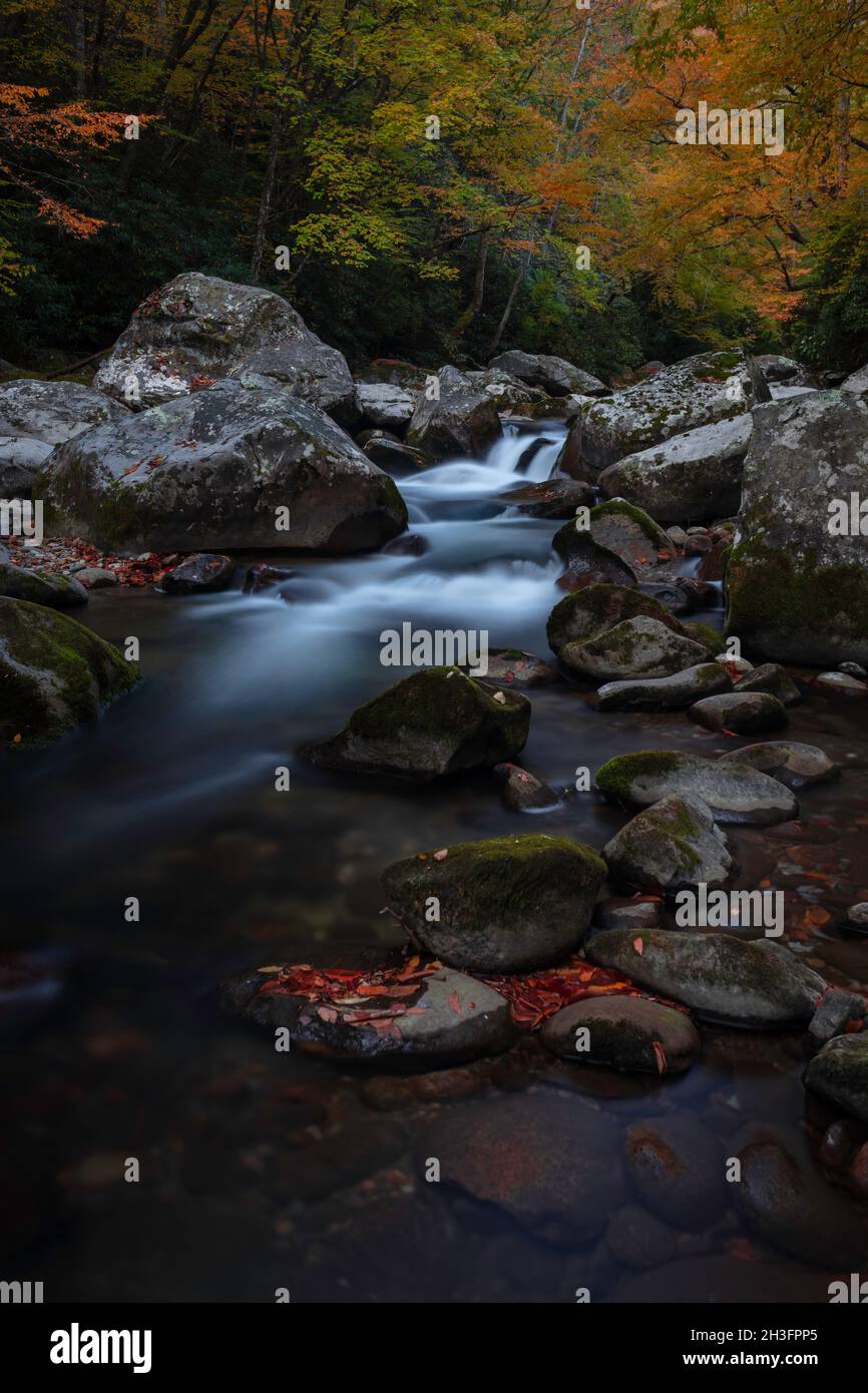 Glattes Wasser unter den Herbstblättern von Big Creek im Great Smokey National Park von North Carolina Stockfoto