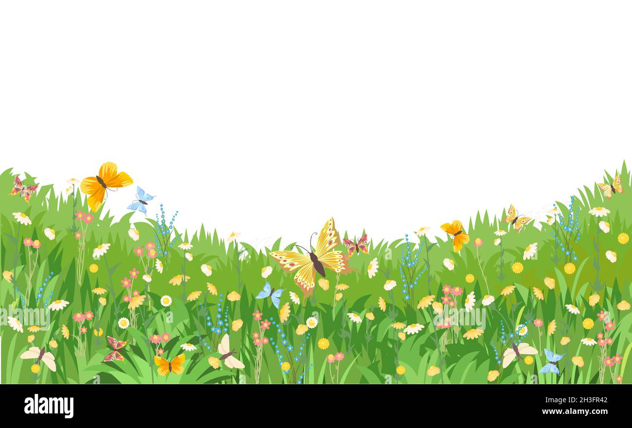 Wiese mit Wildblumen und Schmetterlingen. Abbildung. Nahaufnahme des Grases. Wunderschöne grüne Landschaft. Isoliert. Cartoon-Stil. Flaches Design. Blumen Stock Vektor