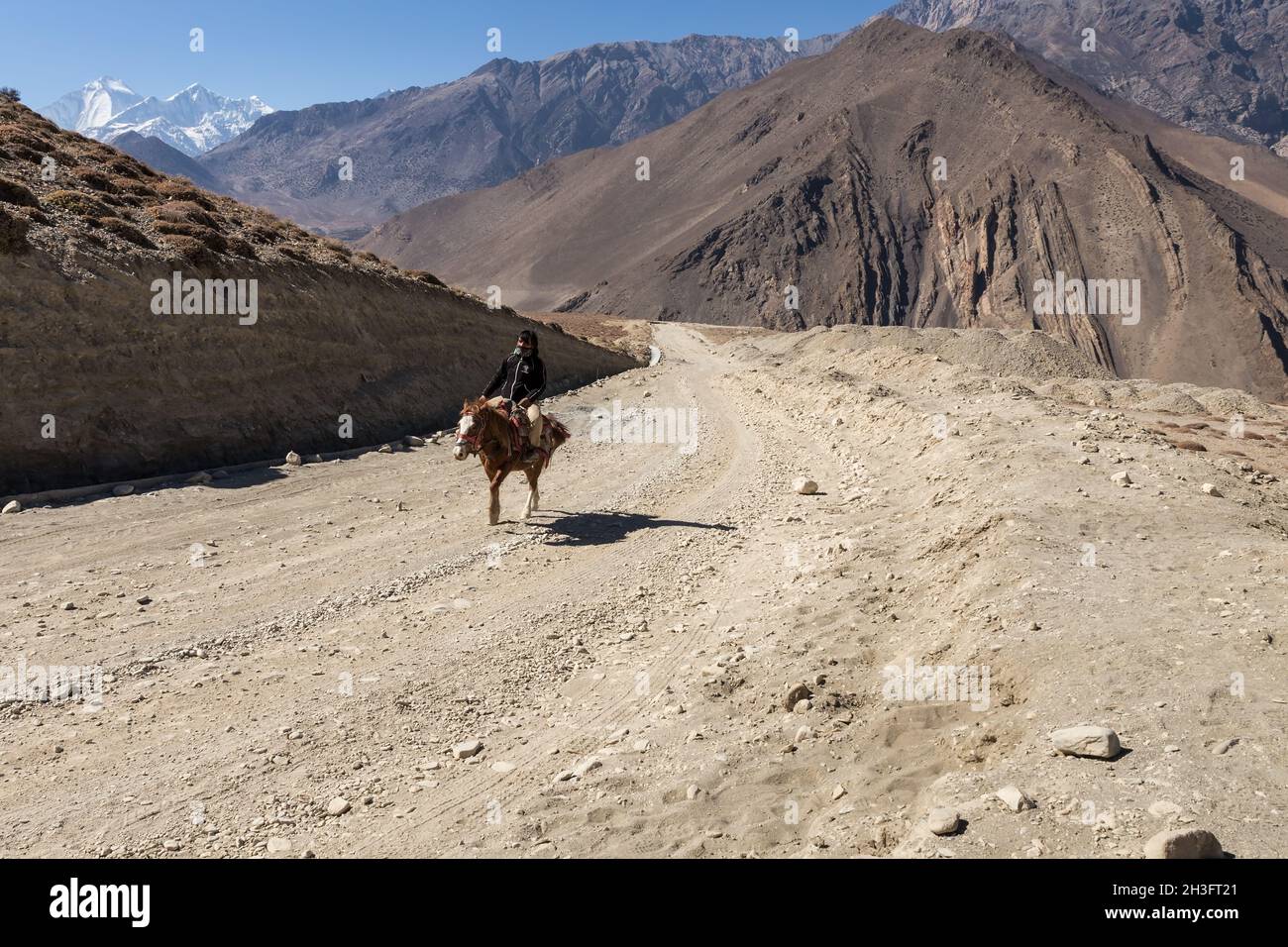 Kagbeni, Mustang District, Nepal - 19. November 2016: Nepalesischer Reiter auf einem Pferd reitet auf einer Straße im Himalaya. Muktinath Sadak Stockfoto