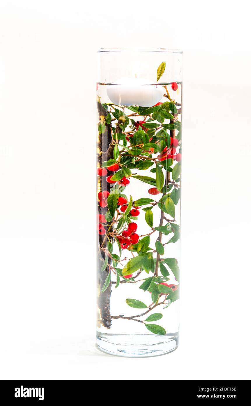 Brennende Teelkerze schwimmt auf der Wasseroberfläche in der Vase mit grüner und roter Pflanzendekoration im Inneren Stockfoto