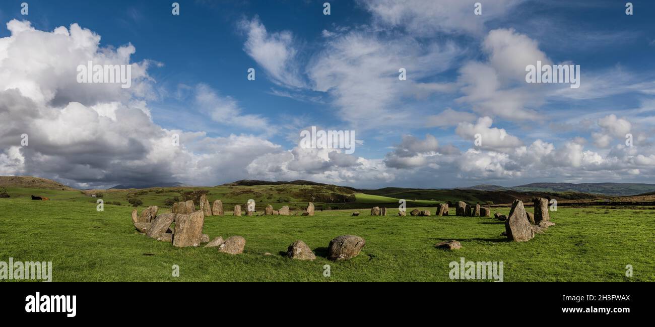 Swinside, alias Sunkenkirk Steinkreis, sonnendurchflutet mit breitem blauen Himmel und weißen Wolken; sonnendurchflutete und schattige Hügel im Hintergrund; Rinder auf dem Feld in der Nähe von Steinen. Stockfoto