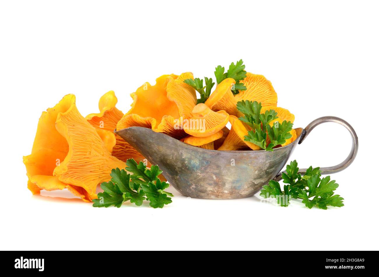 Pfifferlinge Pilze in silbernem Sauceboat mit grüner Petersilie isoliert auf weißem Hintergrund Stockfoto