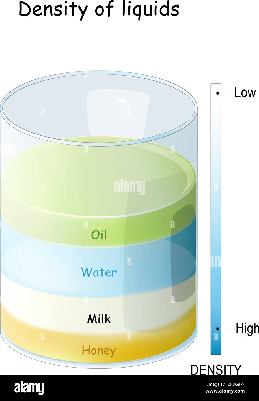 Dichte von Flüssigkeiten von Honig und Milch mit hoher Dichte zu Wasser und Öl mit niedriger Dichte. Ein Glaszylinder mit verschiedenen farbigen Flüssigkeiten Stock Vektor