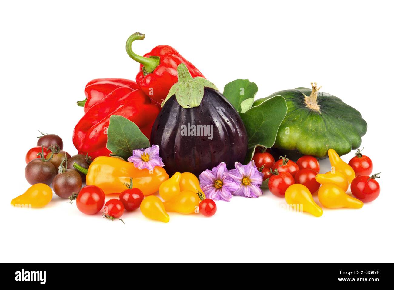 Gruppe von reifen Reihe Herbst Gemüse isoliert auf weißem Hintergrund Stockfoto