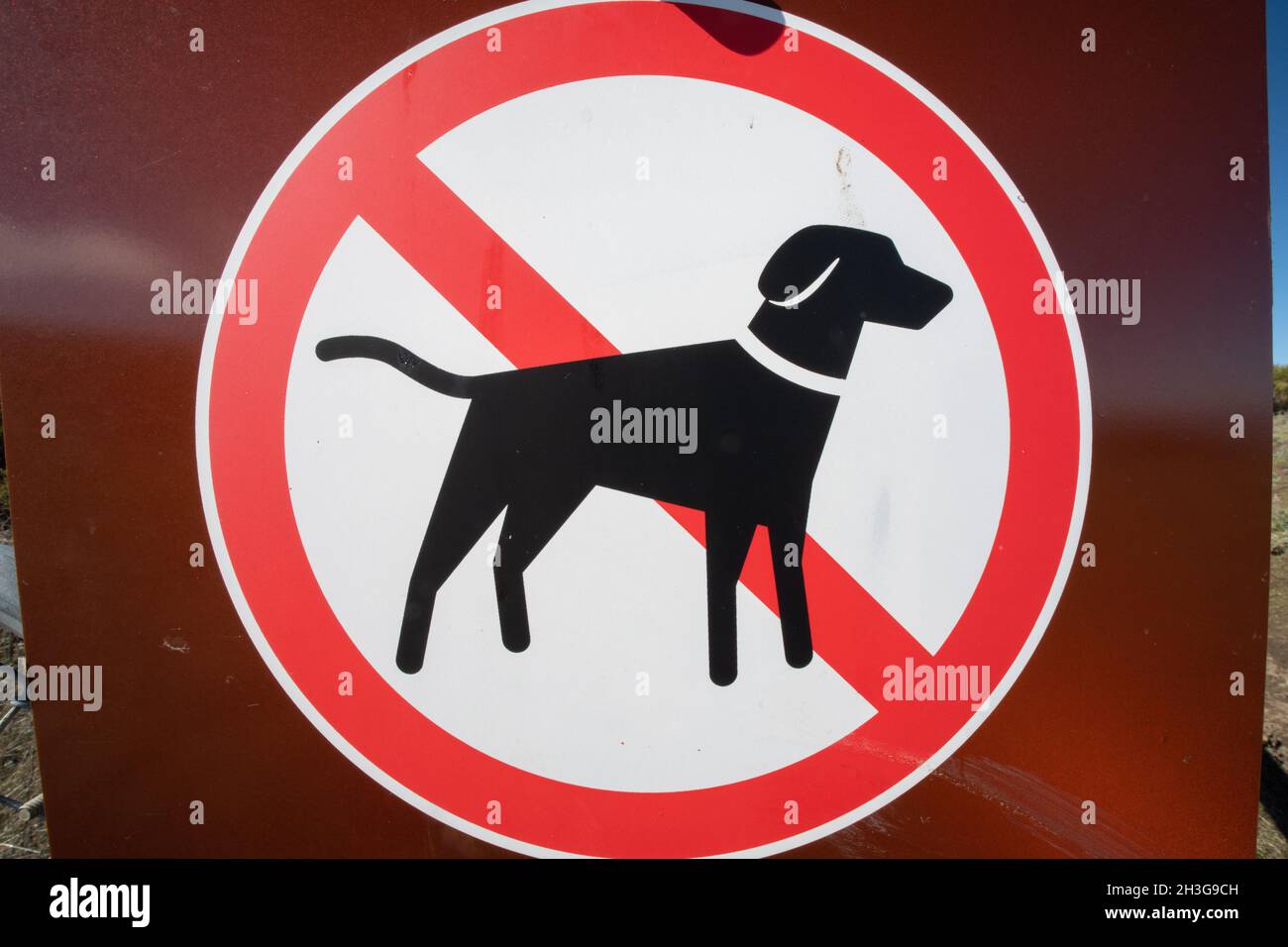 Ein Plakat oder Schild, das Hunde in einem East Bay Park in Kalifornien untersagt. Stockfoto