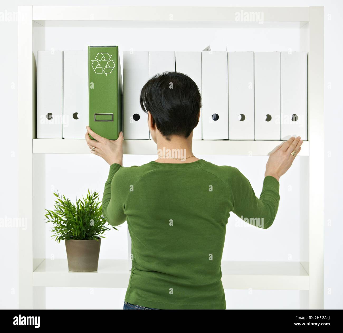 Frau, die im grünen Büro arbeitet Stockfoto