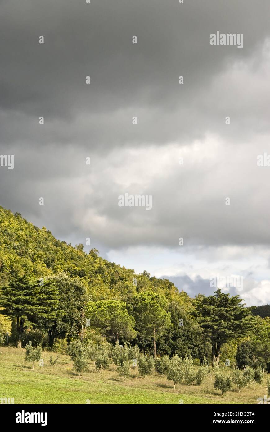 Gewitterwolken Stockfoto