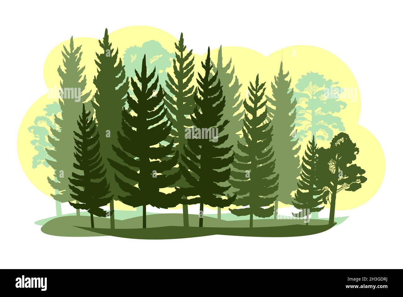 Wald Silhouette Szene. Landschaft mit Nadelbäumen. Wunderschöne Aussicht. Kiefern- und Fichtenbäume. Sommer Natur. Isolierter Illustrationsvektor Stock Vektor