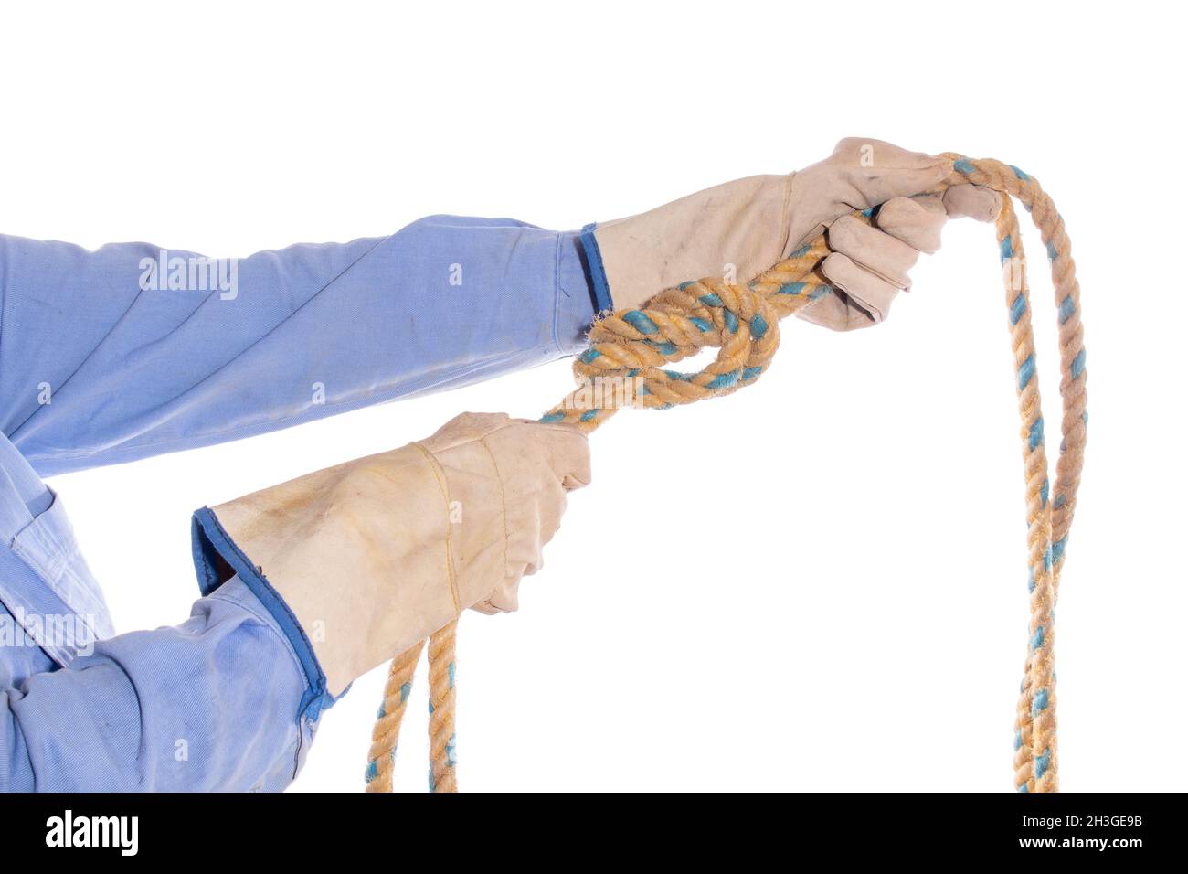 Zwei Hände binden einen einfachen Knoten an ein Seil, isoliert auf weißem Hintergrund. Hände mit Handschuhen, die einen acht Knoten mit einem Seil festziehen. Schutzhandschuhe. Stockfoto