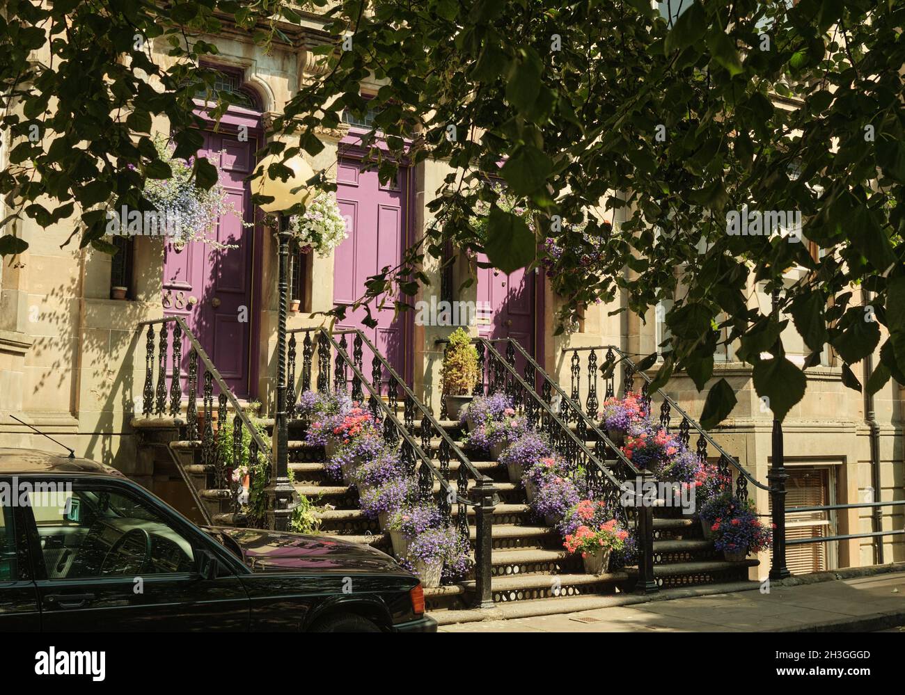 Pink Doors in Queens Drive Tenements, Southside Glasgow. Grüne Blätter, Spätsommer. Stockfoto