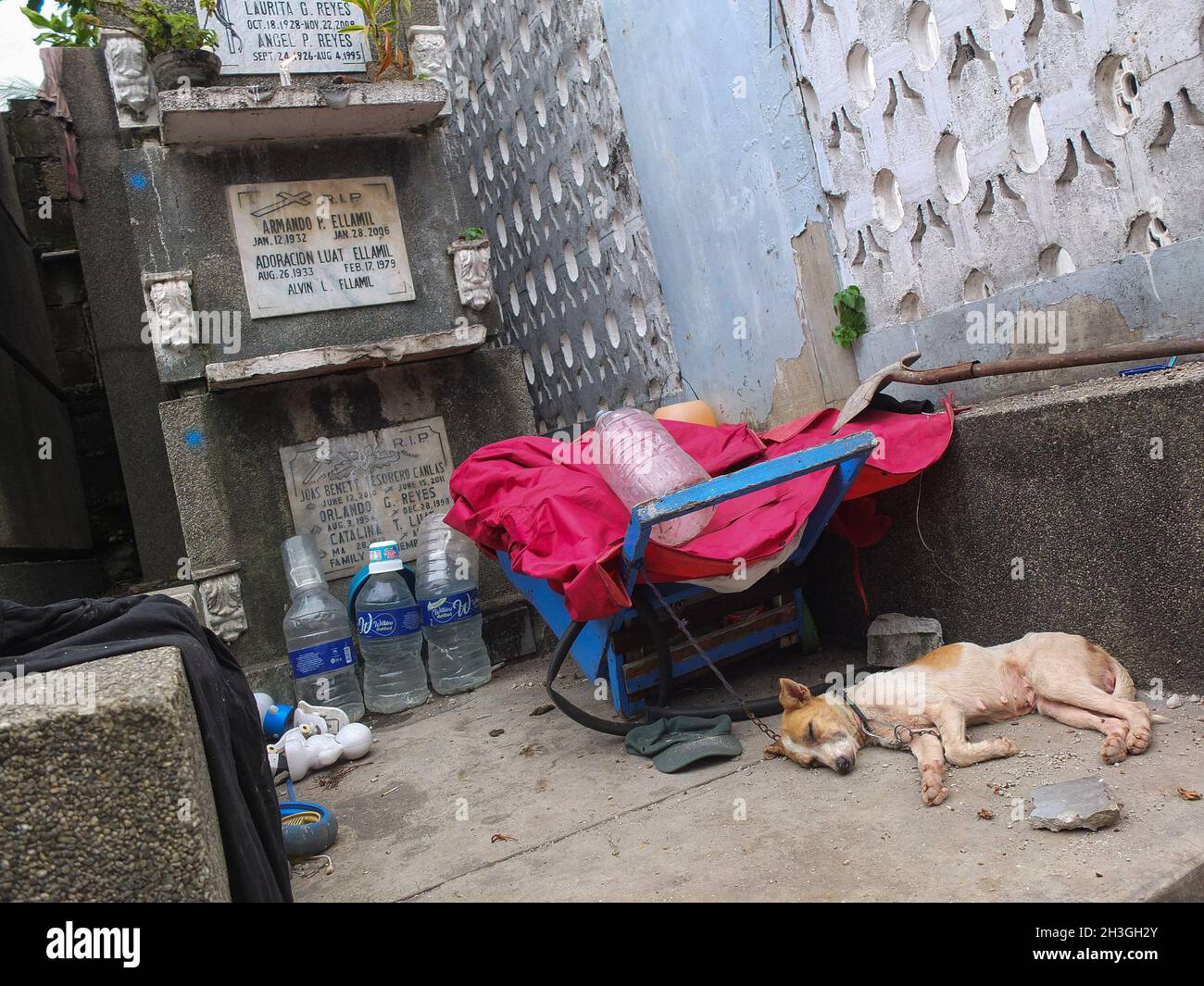 Malabon, Philippinen. Oktober 2021. Ein verkettter Hund, der auf dem Tugatog-Friedhof schläft. Die Stadtverwaltung von Malabon gab bekannt, dass der öffentliche Friedhof Tugatog sanierungsmaßnahmen unterzogen wird. Ziel des Projekts ist es, die Grabstätte sicherer und sauberer zu machen. Ein öffentliches Krematorium und ein Kolumbarium werden ebenfalls im Inneren des Friedhofs errichtet. Kredit: SOPA Images Limited/Alamy Live Nachrichten Stockfoto