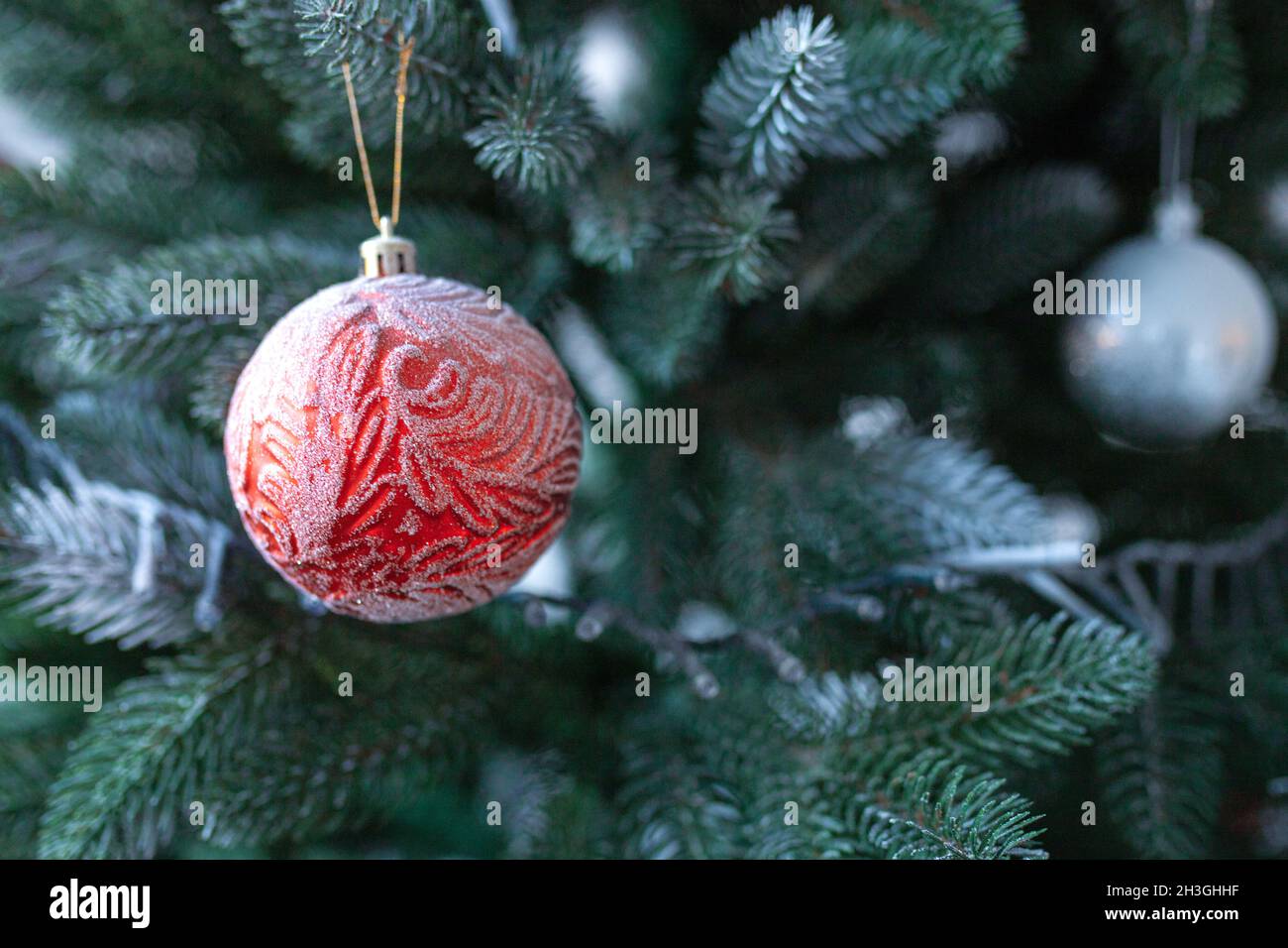 Weihnachtskugel auf dem Hintergrund eines grünen Weihnachtsbaums. Neujahrskarte oder Hintergrund für Herzlichen Glückwunsch. Stockfoto