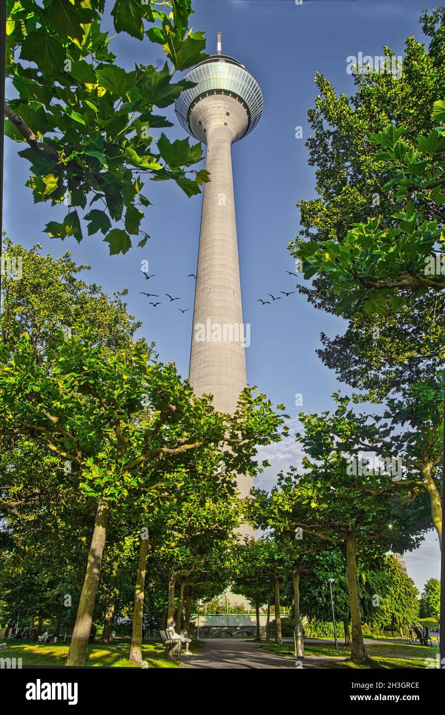 Düsseldorf Fernsehturm Foto Bild Stockfoto