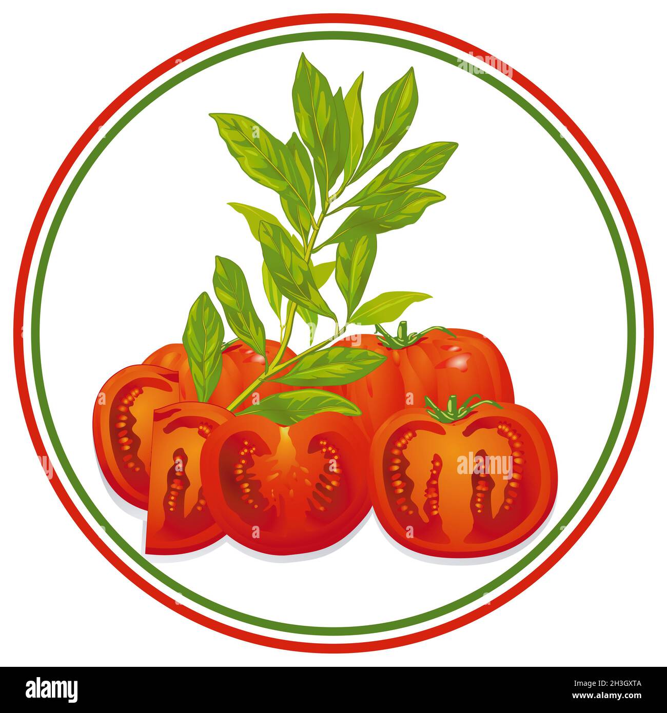 Tomaten und Basilikum Stockfoto