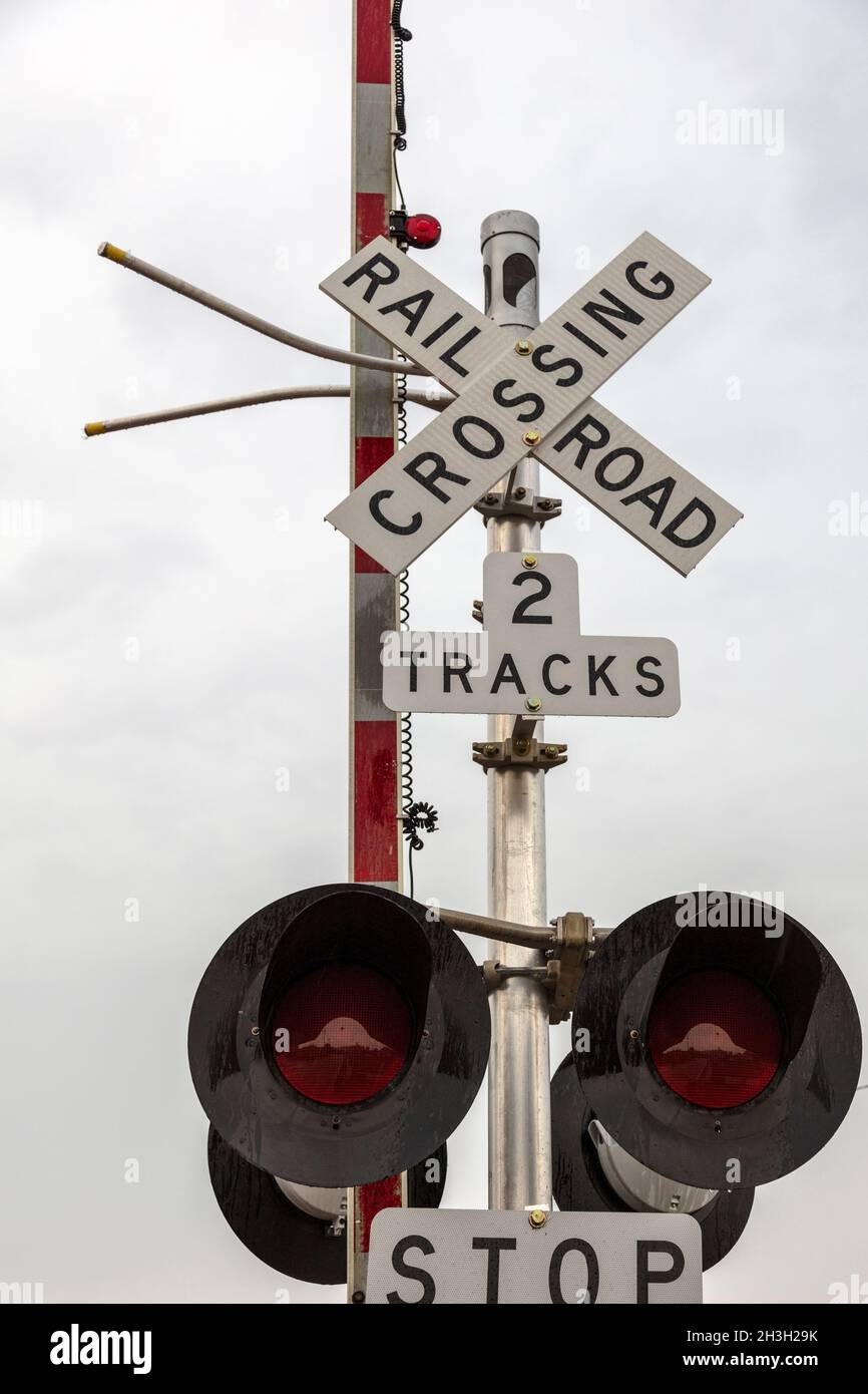 Eisenbahnübergang, Warnleuchten und Schild, USA, von James D. Coppinger/Dembinsky Photo Assoc Stockfoto