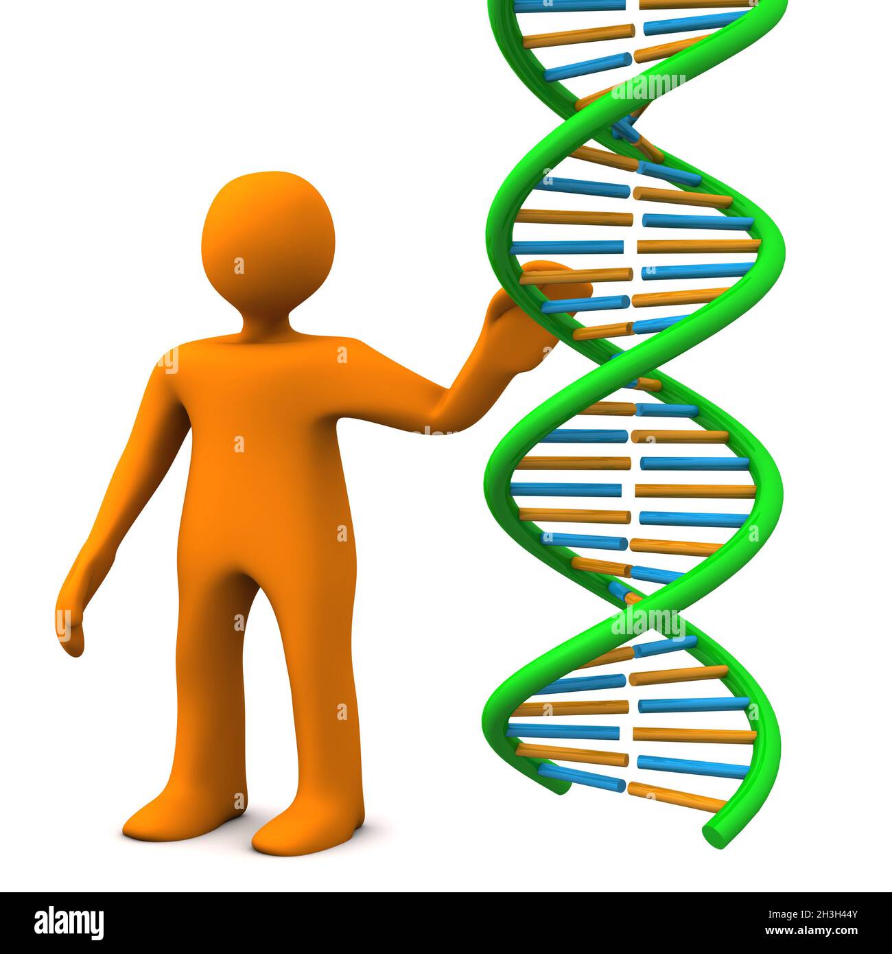 Menschl. Darstellungsobjekt-DNA Stockfoto