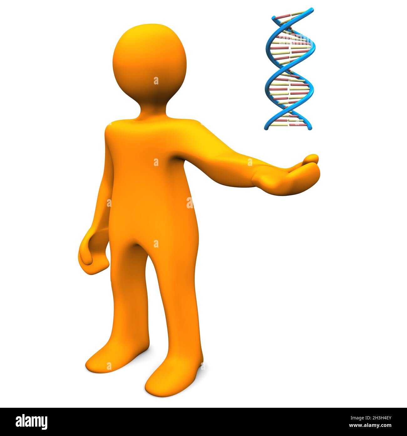 Lehrer-DNA Stockfoto