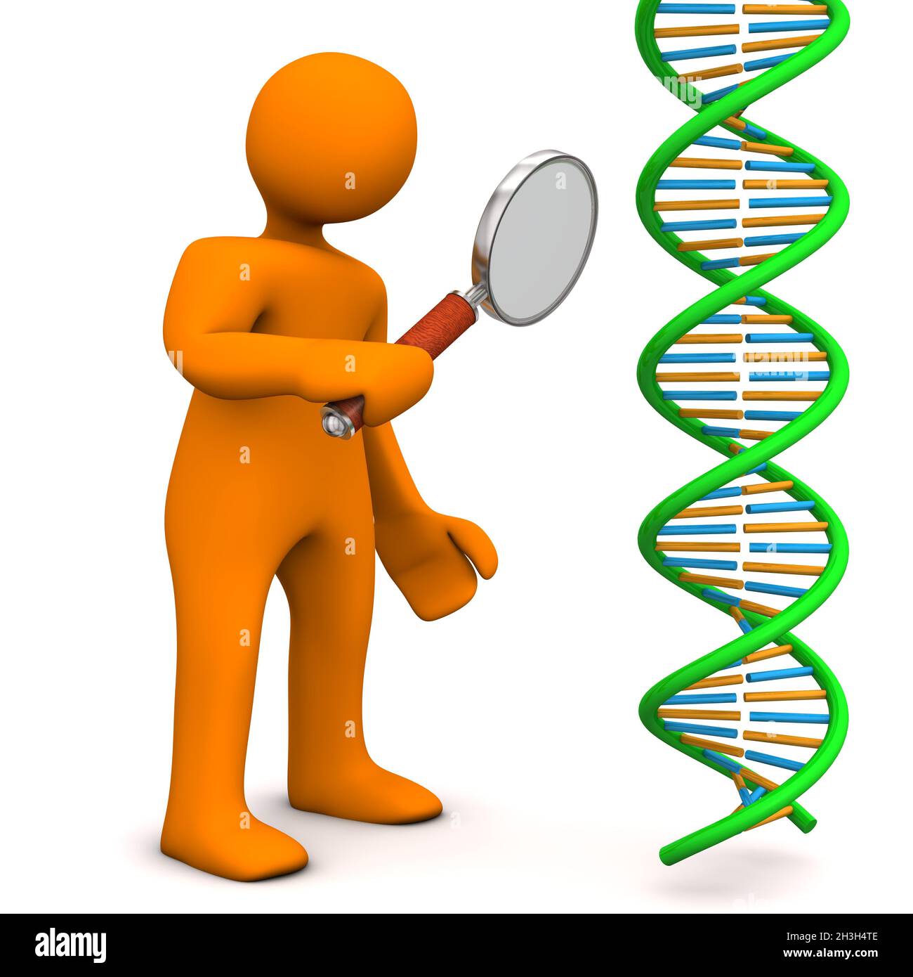 Menschliche Lupen-DNA Stockfoto