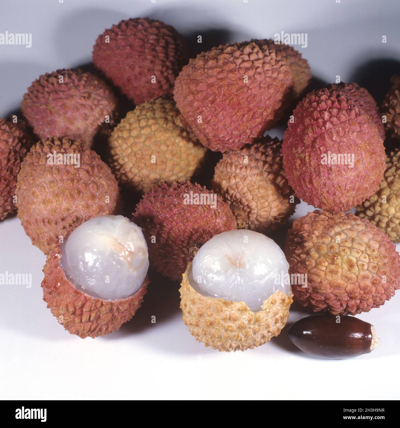 Litschi chinensis Stockfoto
