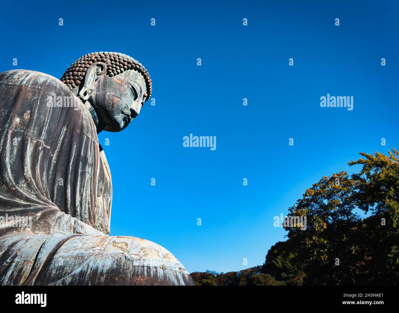 Der große Buddha, oder Kamakura Daibutsu, die 43 Fuß hohe und 103 Tonnen schwere Statue wurde 1252 fertiggestellt und steht in Kamakura, Japan. Stockfoto