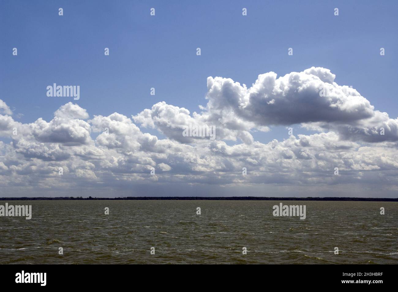 Boddenlandschaft Mecklenburg-Vorpommern Stockfoto