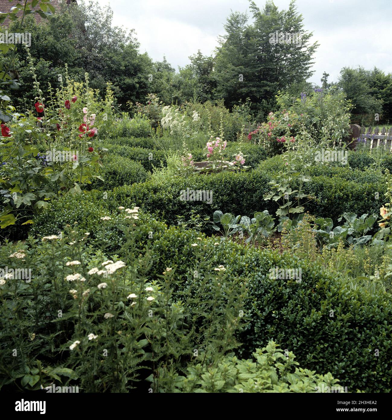 bauern-hecke-fotos-und-bildmaterial-in-hoher-aufl-sung-alamy