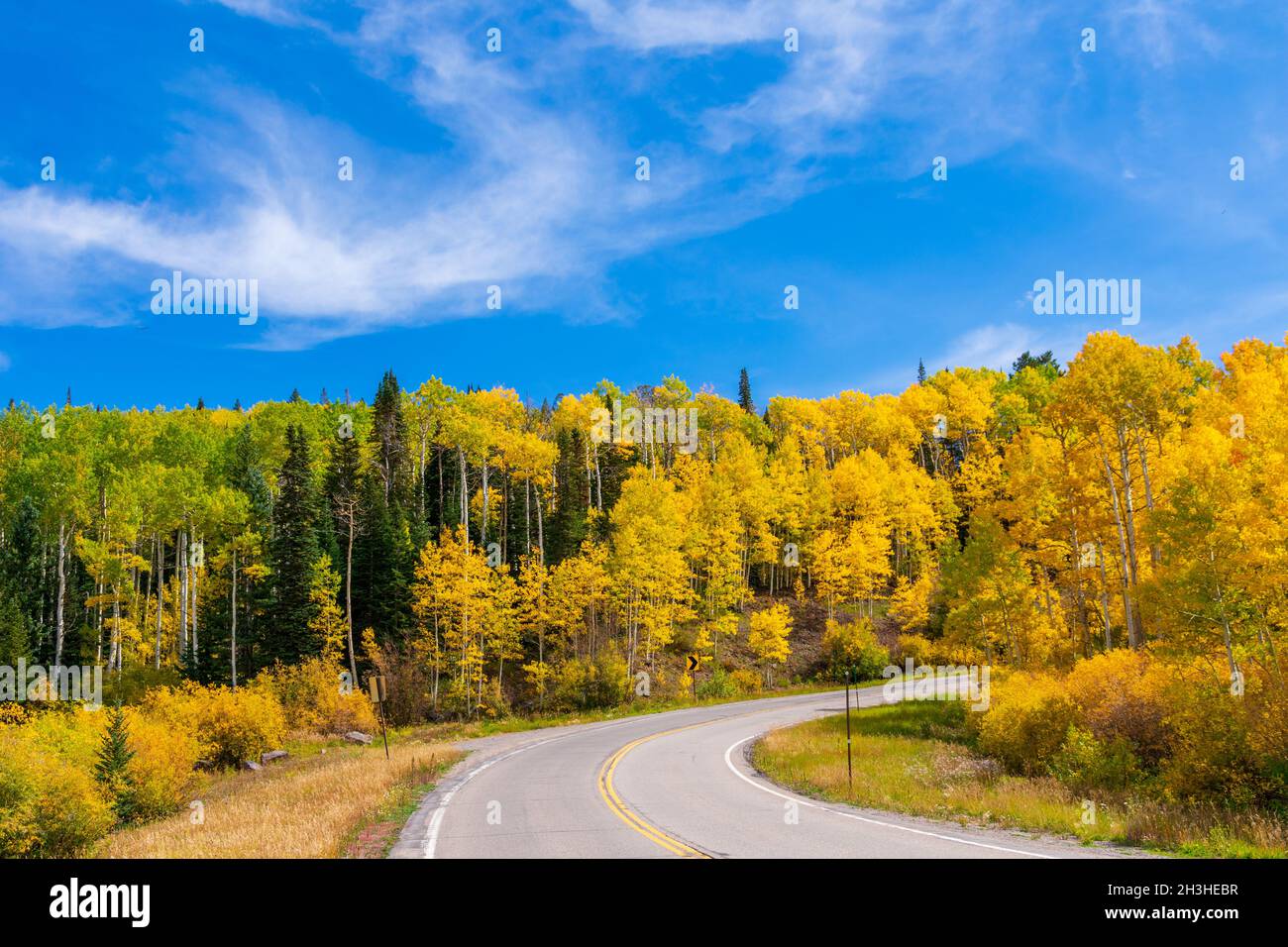 Herbstfarben unter blauem Himmel auf dem State Highway 65, Grand Mesa Scenic Byway in Colorado Stockfoto