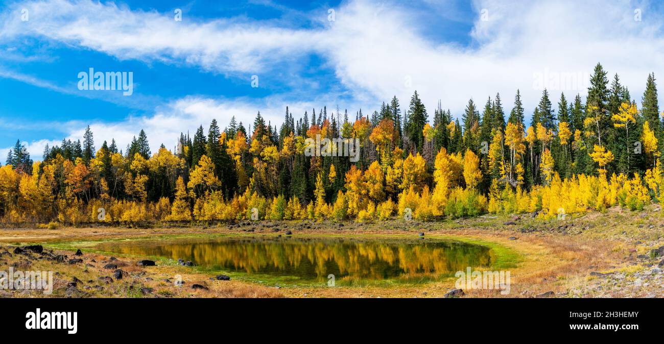 Panoramablick auf einen kleinen, trocknenden See, umgeben von Herbstfarben unter einem wunderschönen blauen Himmel in Grand Mesa, Colorado Stockfoto