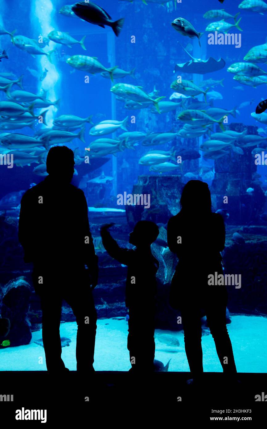 Riesiges Aquarium in einem Hotel Atlantis in Dubai auf den Palmeninseln Stockfoto