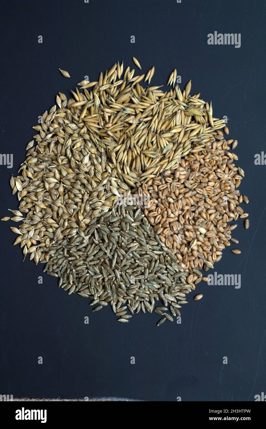 Getreidesorten; Getreide; Getreidekörner; Stockfoto