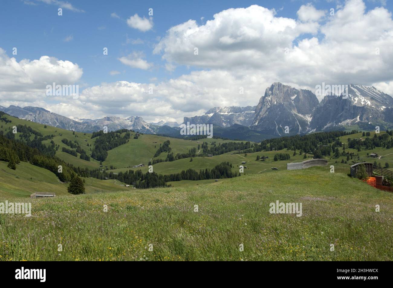 Langkofel, Langkofel, Seiser Alm, S Stockfoto